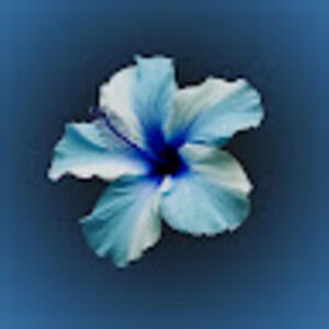 Meet your Posher, Aliyah rama